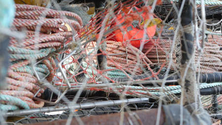 Traps, ropes and cages on pier, commercial dock, fishing industry, Monterey California USA. Empty...