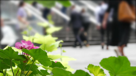 New York City Manhattan Midtown Lexington avenue, United States. Defocused people pedestrian exiting subway metro station, stairs on 53 street, USA urban life. Park greenery, flowers on flowerbed.の写真素材