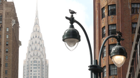 New York City Manhattan Midtown architecture. Chrysler building on 42 street, high-rise skyscraper, USA. American urban cityscape, NYC tower, United States. Lex Lexington avenue. Lantern, pigeon birdsの写真素材
