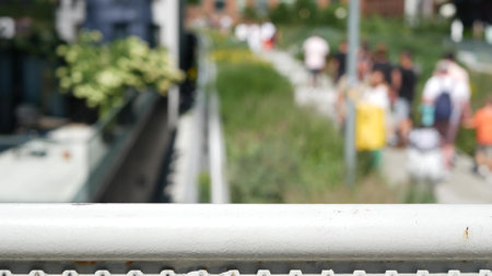 New York City High Line elevated greenway, Manhattan Midtown, USA. People pedestrians in urban public park. Promenade in garden greenery. American street life, Chelsea highline near Hudson Yards.の写真素材
