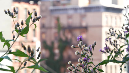 New York City classic building architecture, Manhattan, USA. Urban residential house exterior. Real estate property in United States. Red brick facade. Fire escape, emergency ladder exit.の写真素材