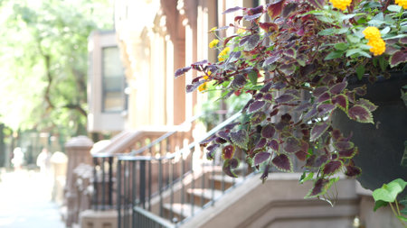 New York City townhouse building, Brooklyn Heights residential district, USA. Brownstone urban...