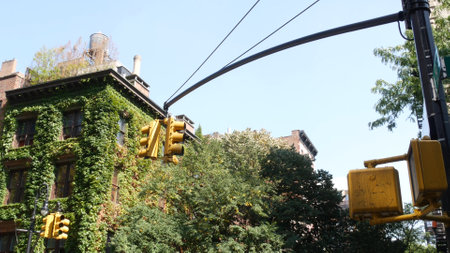 New York City Irving street crossroad, traffic light. Building architecture. Rooftop water tower, tank. Red brick house, Manhattan, United States. Green corner, ivy vine plant, leaves covered wall.の写真素材