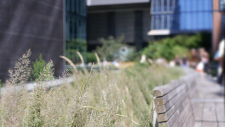 New York City High Line elevated greenway, Manhattan Midtown, USA. People in urban public park. Promenade in garden greenery. American street life, Chelsea highline near Hudson Yards. Wooden bench.の写真素材