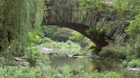 New York City, United States - 11 Sept 2023: Manhattan Midtown. Central park on 5th Fifth 5 avenue, USA. American park in NYC. Arch architecture, garden greenery. Bridge on pond, people and duck birdsのeditorial素材