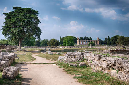 Paestum archaeological  site. Italyの写真素材
