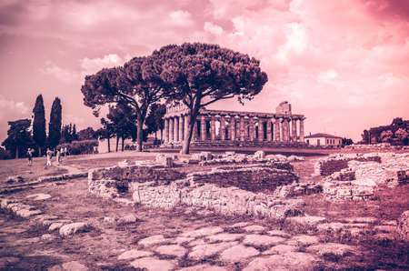 archaeological site of Paestum in Italy, Greek Temple of Athenaの写真素材