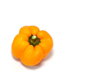 Green pepperの写真素材