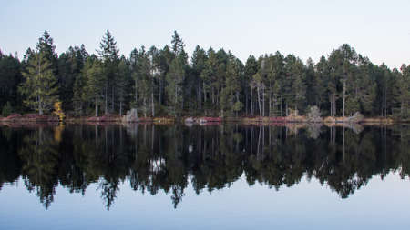 Blurred Fall Reflectionの写真素材