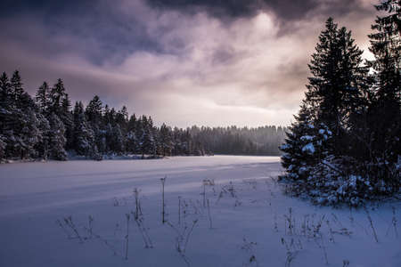 Untouched Winter Lightの写真素材