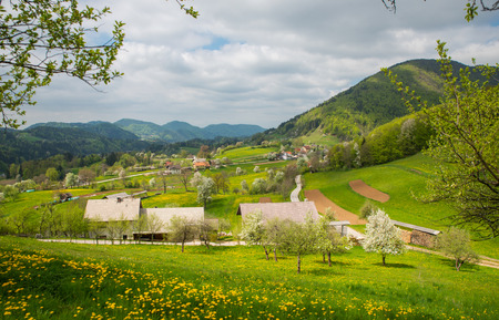 Tuhinj valley near Kamnik, Sloveniaの写真素材