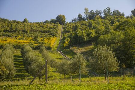 Kalvarija staircase, Maribor, Slovenia