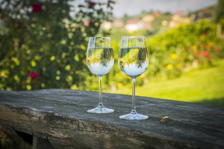 Wine road, Maribor, Sloveniaの写真素材