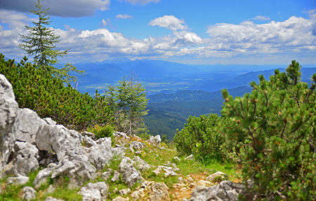 View from Pokljuka mountain on neighborhood mountains, Sloveniaの写真素材