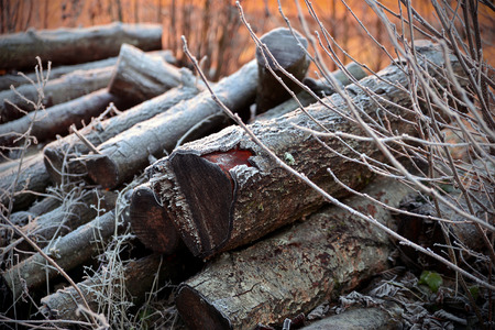 Winter scene in Tuhinj valley, Sloveniaの写真素材