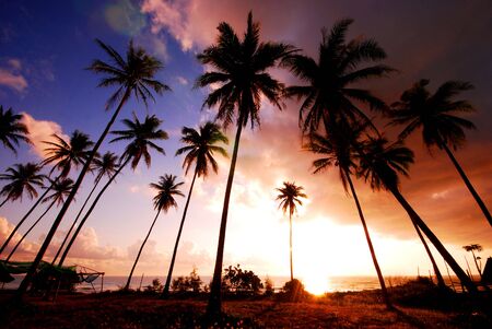 Sunrise Chumporn , Thailandの写真素材