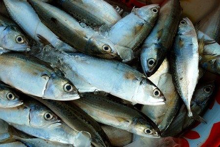 Fresh glitheads fish close up with vegetables の写真素材
