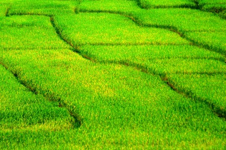 Chiangmai Thailandの写真素材