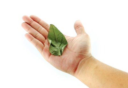 Hand leaves wilt Global warmingの写真素材