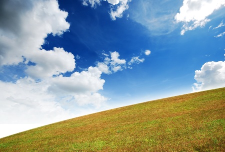 Green grass landscape blue sky for Backgrounds and design Yellowの写真素材