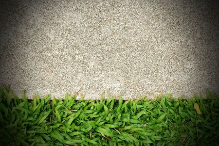 Grass green background texture pattern nature designの写真素材