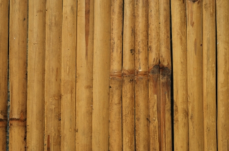 Bamboo texture background in Thailandの写真素材