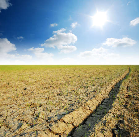 Soil cracked Background mud puddle marsh well blue sky riceの写真素材