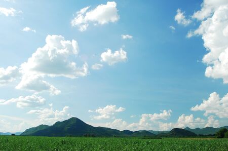 Mountain green grass and blue sky nature for backgroundsの写真素材