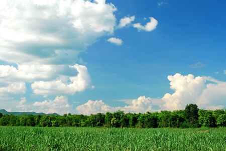 Mountain green grass and blue sky nature for backgroundsの写真素材