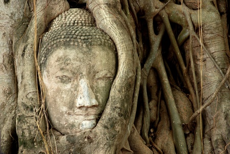 World Heritage in Ayutthaya Thailandの写真素材