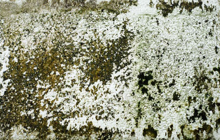 Dirty wall in Thailandの写真素材