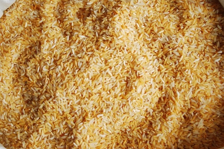 Rice in Thailandの写真素材