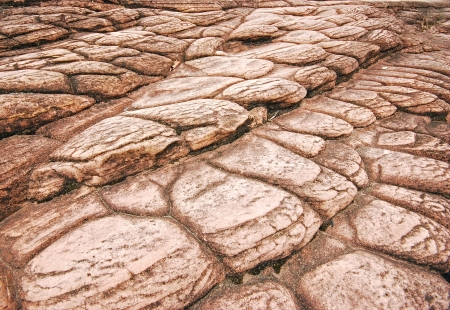 On the Earthの写真素材