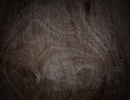 Bark texture background pattern crack old brown for designの写真素材