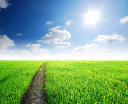 green grass blue sky cloud cloudy landscape backgroundの写真素材