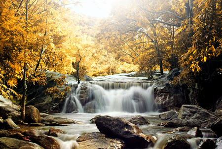 Waterfall and blue stream in the yellow forest Thailandの写真素材