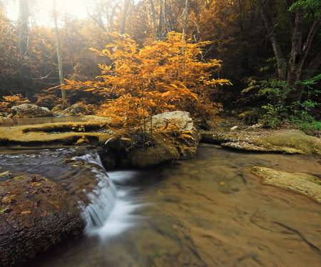 Waterfall with blue stream in the nature Thailand forestの写真素材