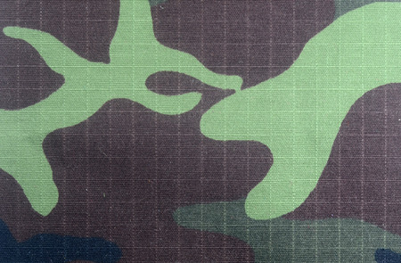 tracery cotton abstract backgroundの写真素材