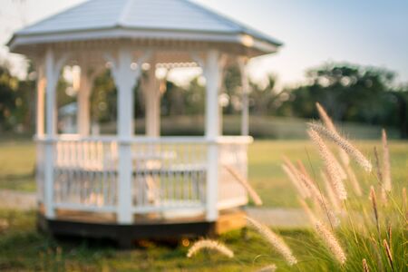 golden grass field at sunset nature background