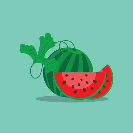a round striped watermelon slice with seeds, vector illustrationのイラスト素材