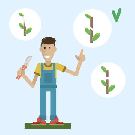 The gardener explains the rules of pruning fruit trees. Vector illustration in a flat styleのイラスト素材