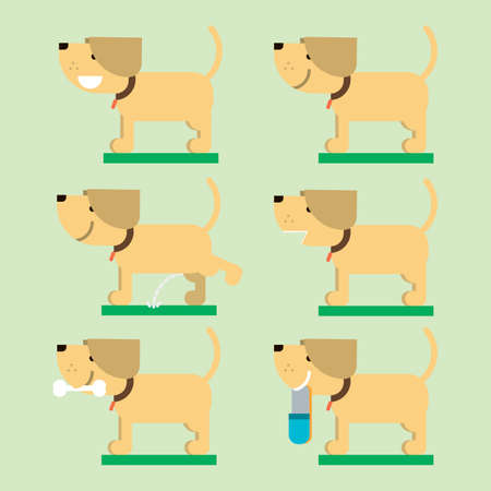 The set of the dog bears a bone, barks, brings the slippers to the master. Vector illustration for design.の写真素材