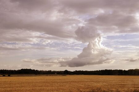 Dramatic sky over fieldの写真素材