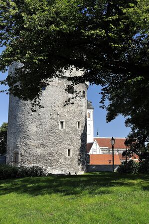 Vertical view on old tower in Tallinの写真素材