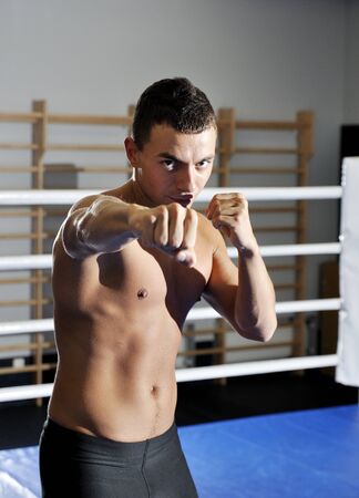 Training of young adult boxerの写真素材