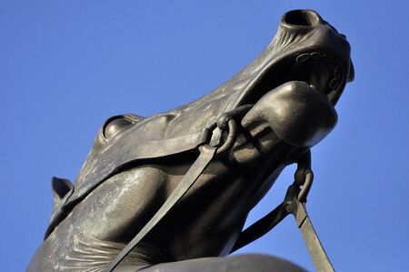 Head of  bronze horse against the skyの写真素材
