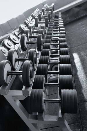 Row of dumbbells in modern sports fitness clubの写真素材