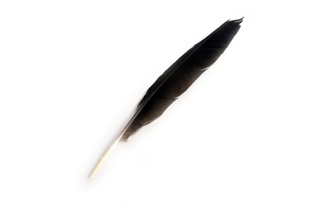 Feather pen. Isolated on a white backgroundの写真素材