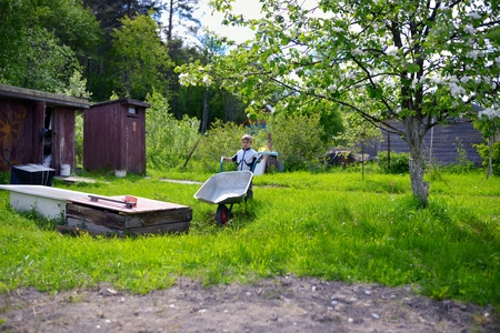 Cute young baby boy pushing wheelbarrow in gardenの写真素材