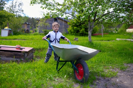 Cute young baby boy pushing wheelbarrow in gardenの写真素材